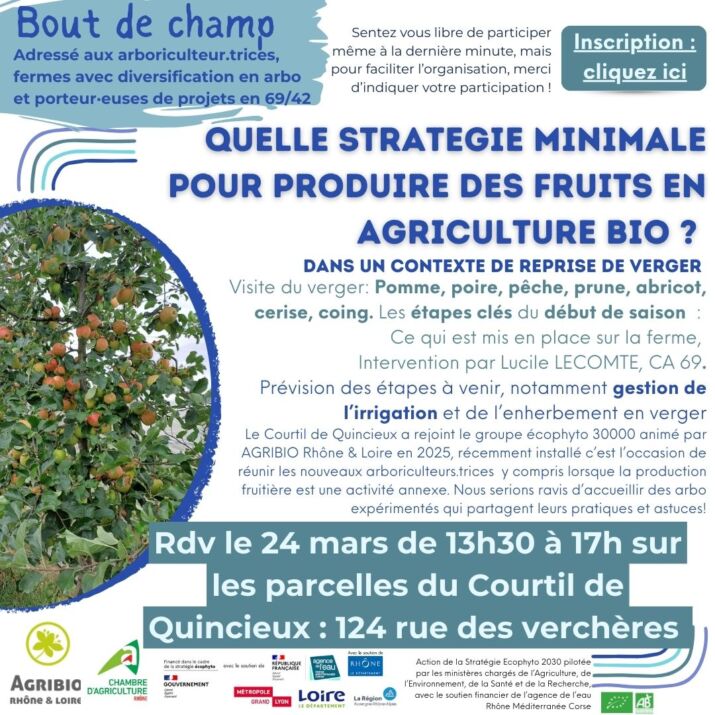 2403 bout de champ arbo
