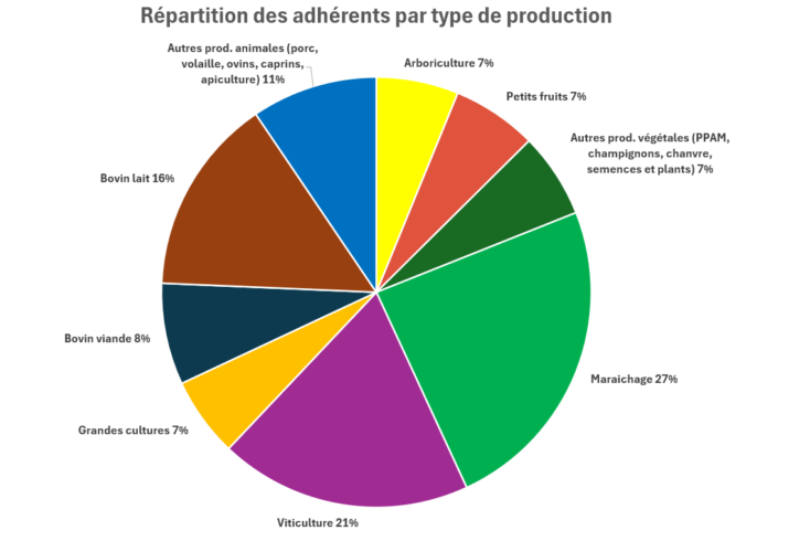 adhesion 2025