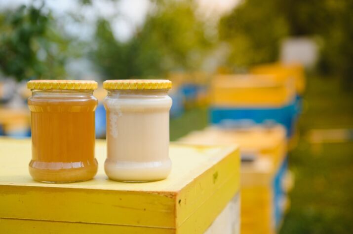 apiculture bio rhone et loire