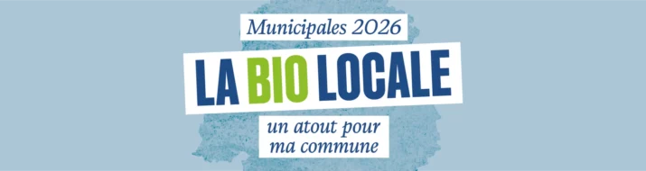 bandeau site@3x 2048x545