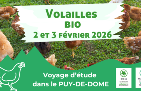 capture d'écran 2025 12 15 143025