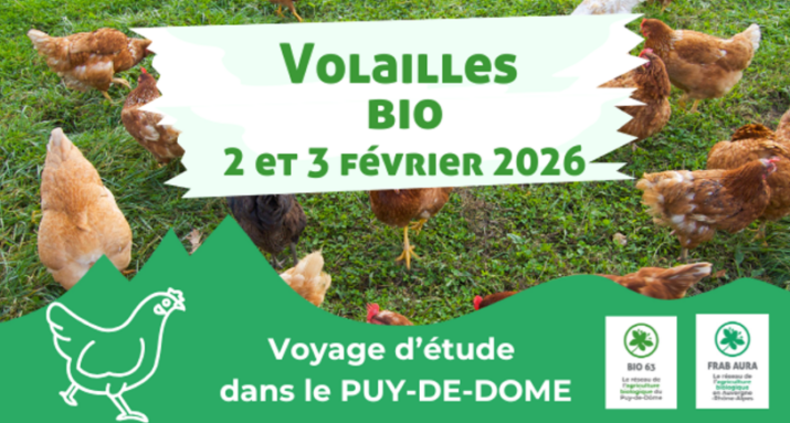 capture d'écran 2025 12 15 143025