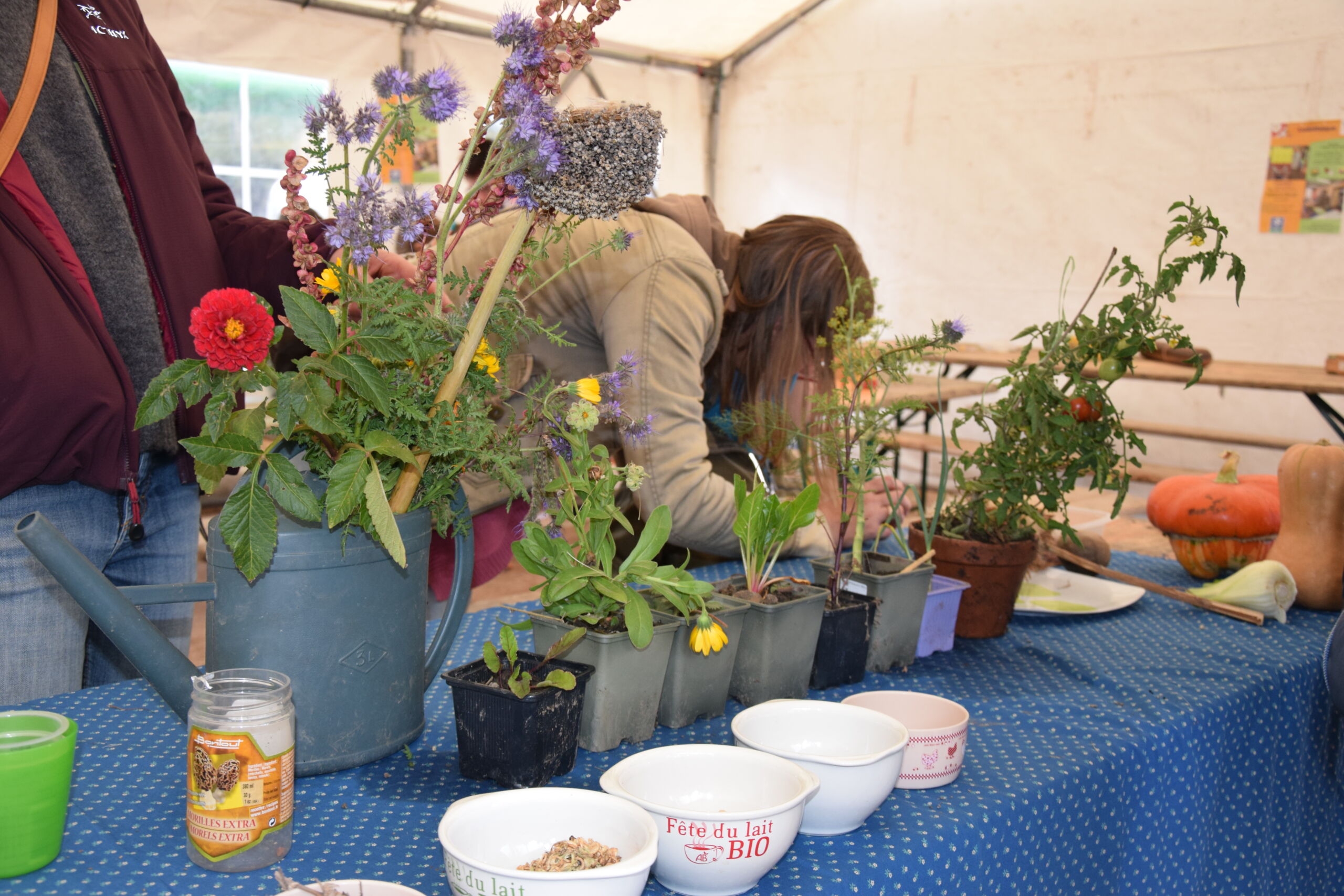 Organisation D v nements Agribio Rh ne Loire