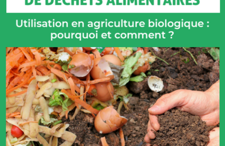 guide pratique le compost de déchets alimentaires