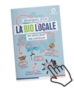 mockup flyer municipales 254x300 2