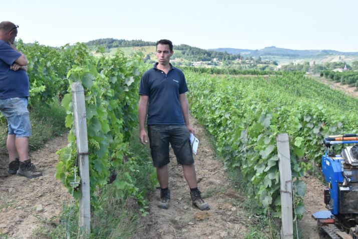 vincent canard et son père marc font partie du groupe dephy viti bio en beaujolais