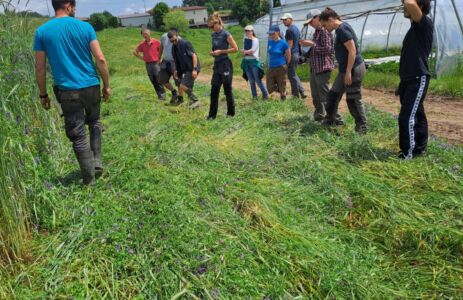 whatsapp image 2025 06 05 at 10.33.44